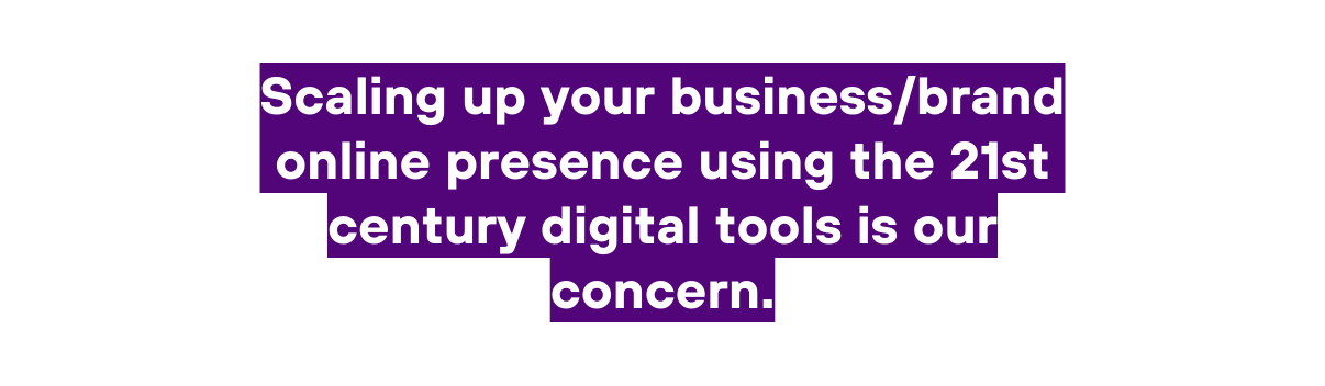 Scaling up your business brand online presence using the 21st century digital tools is our concern